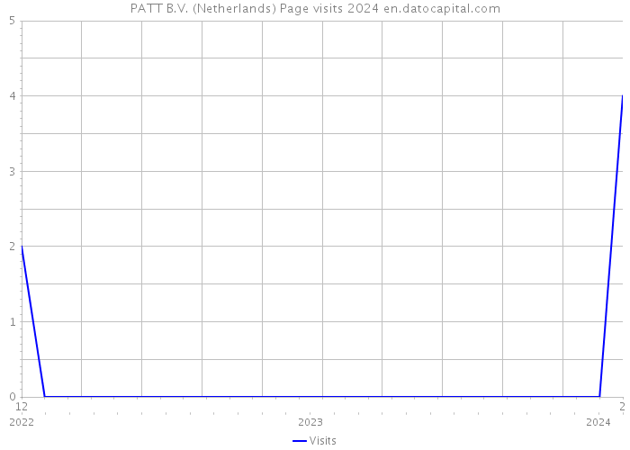 PATT B.V. (Netherlands) Page visits 2024 
