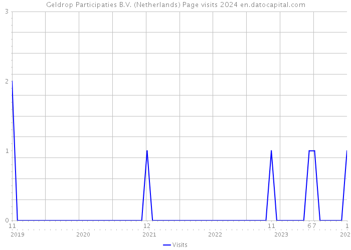 Geldrop Participaties B.V. (Netherlands) Page visits 2024 