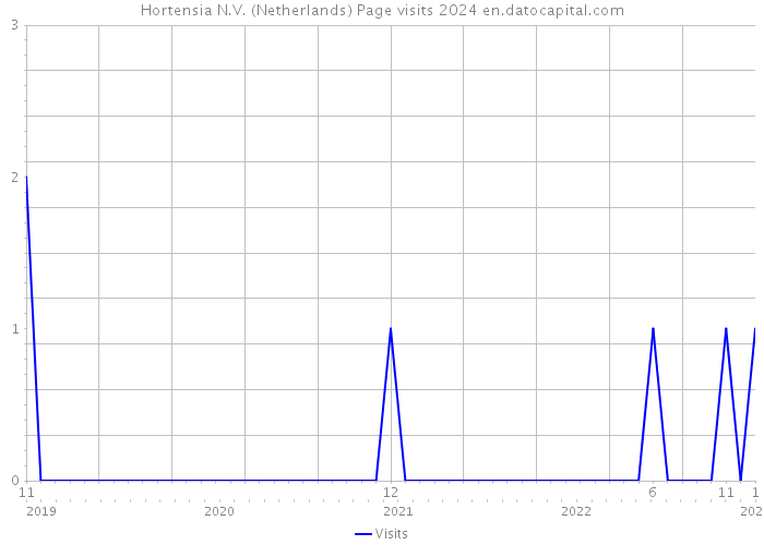 Hortensia N.V. (Netherlands) Page visits 2024 