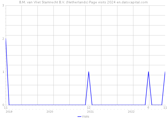 B.M. van Vliet Stamrecht B.V. (Netherlands) Page visits 2024 