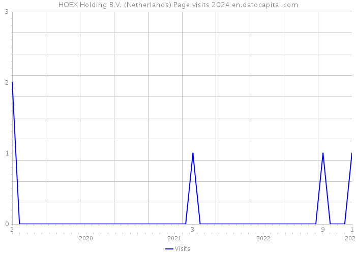 HOEX Holding B.V. (Netherlands) Page visits 2024 