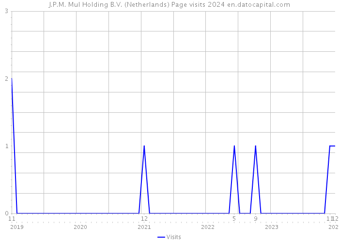 J.P.M. Mul Holding B.V. (Netherlands) Page visits 2024 