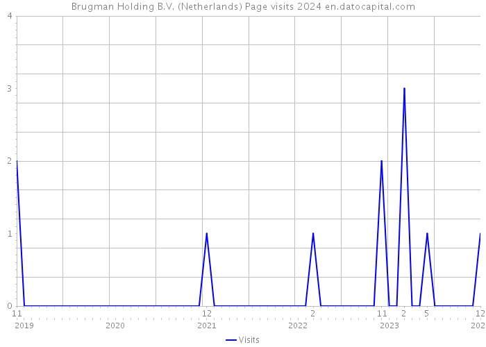 Brugman Holding B.V. (Netherlands) Page visits 2024 