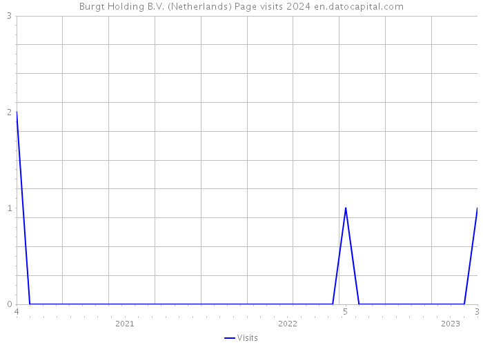 Burgt Holding B.V. (Netherlands) Page visits 2024 