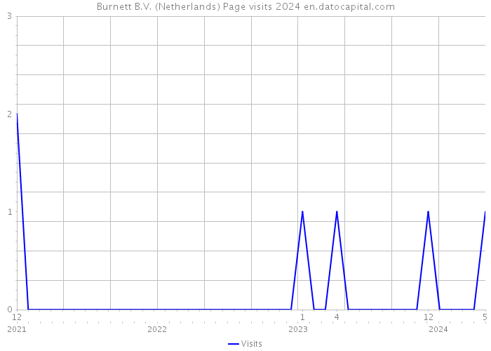 Burnett B.V. (Netherlands) Page visits 2024 