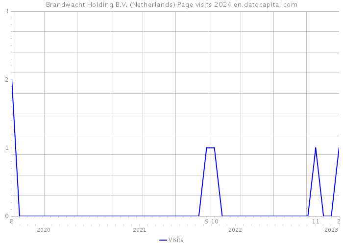 Brandwacht Holding B.V. (Netherlands) Page visits 2024 