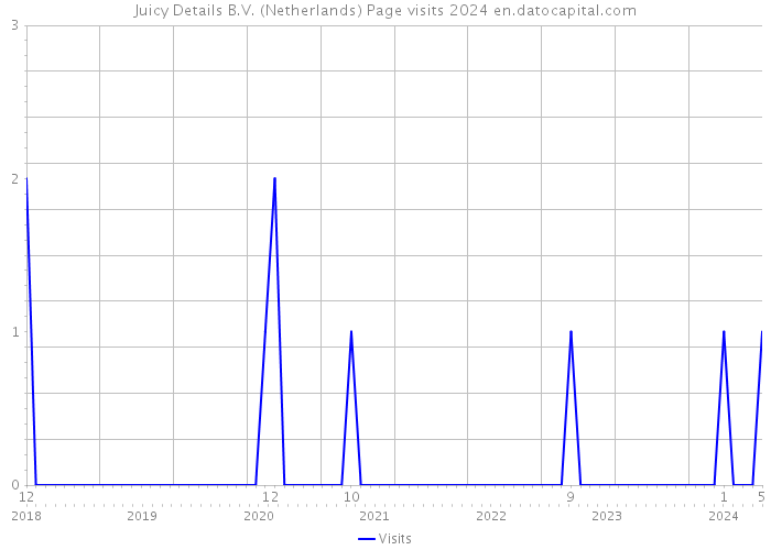 Juicy Details B.V. (Netherlands) Page visits 2024 