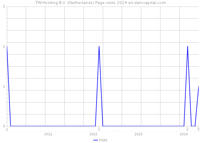 TW Holding B.V. (Netherlands) Page visits 2024 