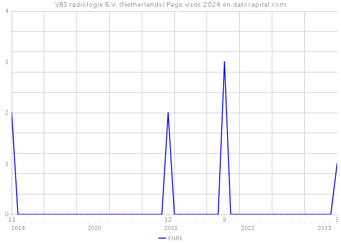 VBS radiologie B.V. (Netherlands) Page visits 2024 