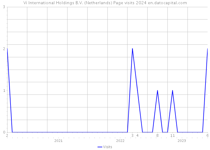 Vi International Holdings B.V. (Netherlands) Page visits 2024 