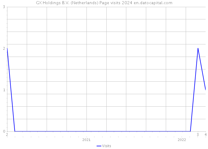 GX Holdings B.V. (Netherlands) Page visits 2024 