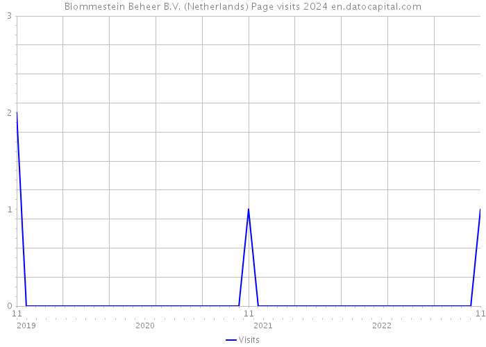 Blommestein Beheer B.V. (Netherlands) Page visits 2024 