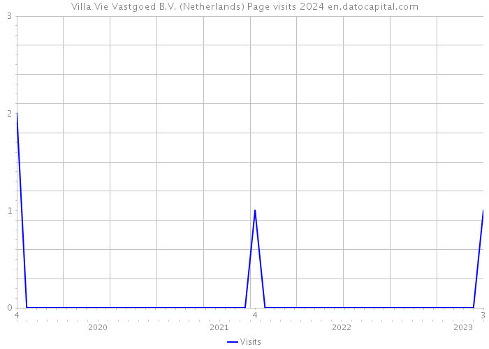 Villa Vie Vastgoed B.V. (Netherlands) Page visits 2024 
