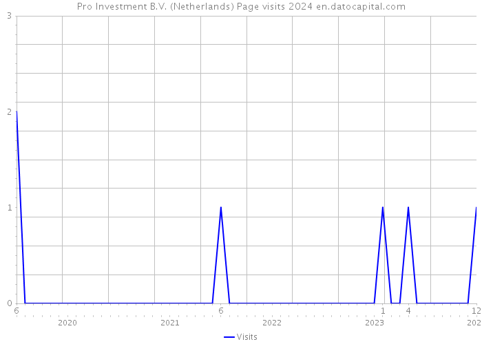 Pro Investment B.V. (Netherlands) Page visits 2024 
