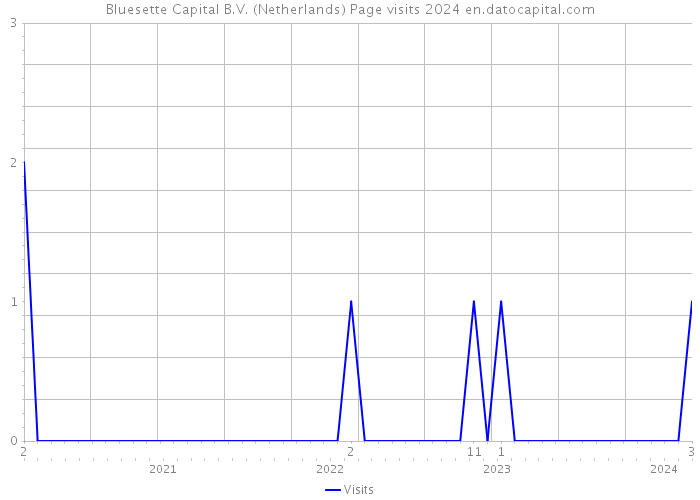 Bluesette Capital B.V. (Netherlands) Page visits 2024 