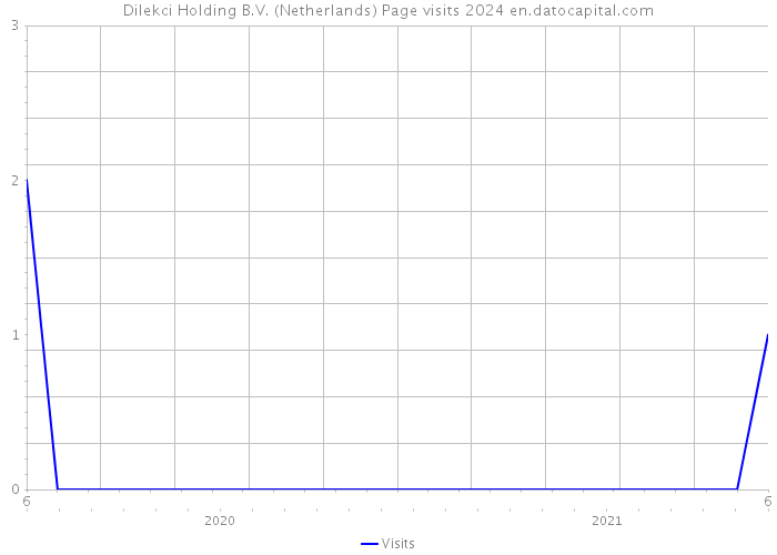 Dilekci Holding B.V. (Netherlands) Page visits 2024 