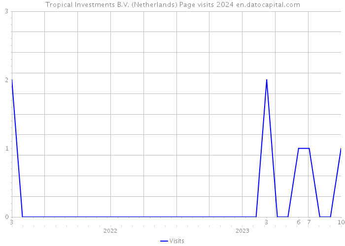 Tropical Investments B.V. (Netherlands) Page visits 2024 