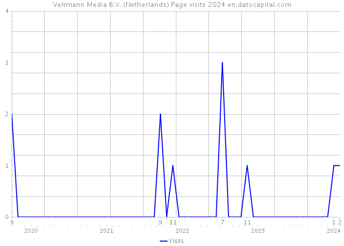 Veltmann Media B.V. (Netherlands) Page visits 2024 