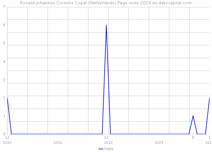 Ronald Johannes Cornelis Copal (Netherlands) Page visits 2024 