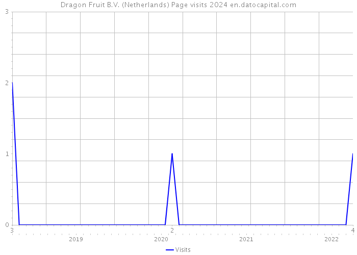 Dragon Fruit B.V. (Netherlands) Page visits 2024 