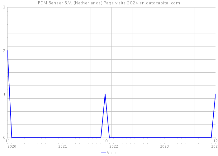 FDM Beheer B.V. (Netherlands) Page visits 2024 