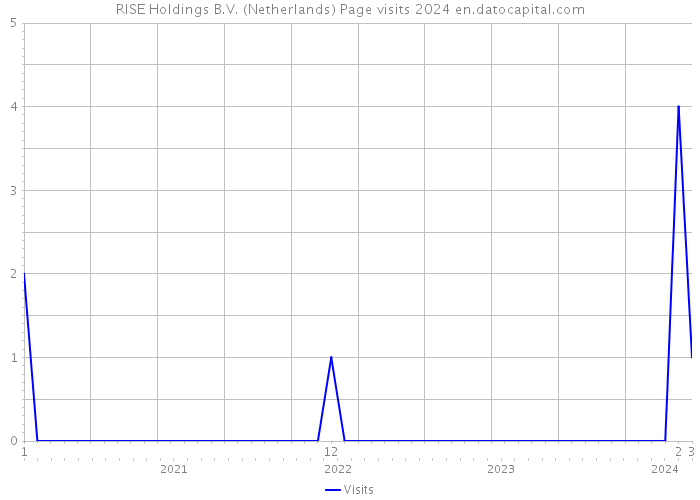 RISE Holdings B.V. (Netherlands) Page visits 2024 