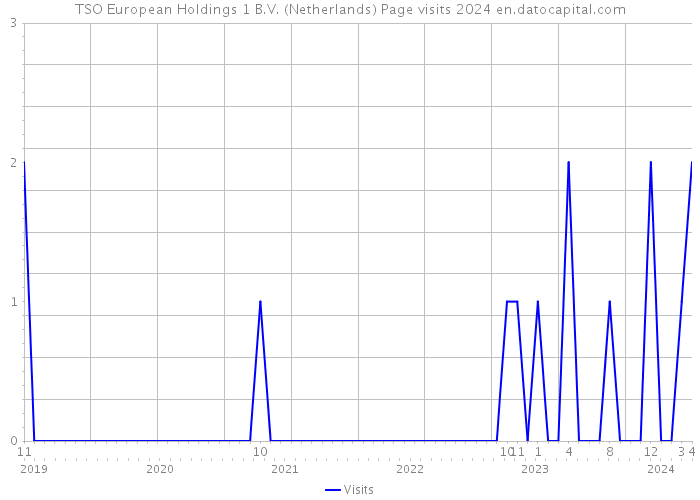 TSO European Holdings 1 B.V. (Netherlands) Page visits 2024 