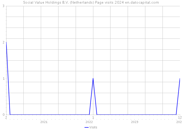 Social Value Holdings B.V. (Netherlands) Page visits 2024 