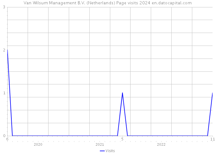 Van Wilsum Management B.V. (Netherlands) Page visits 2024 