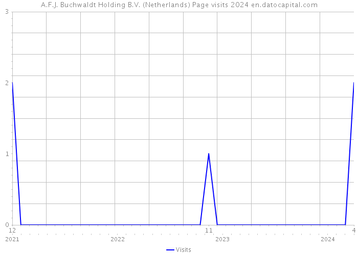 A.F.J. Buchwaldt Holding B.V. (Netherlands) Page visits 2024 