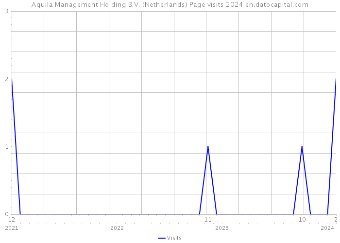 Aquila Management Holding B.V. (Netherlands) Page visits 2024 