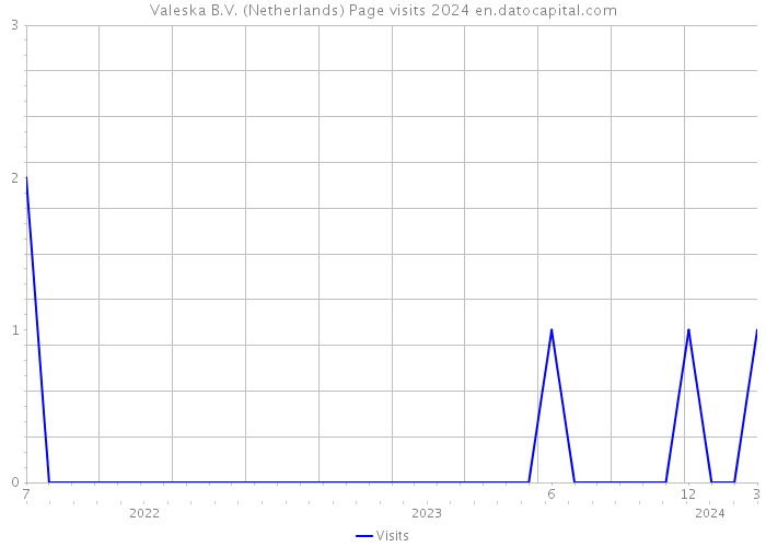 Valeska B.V. (Netherlands) Page visits 2024 