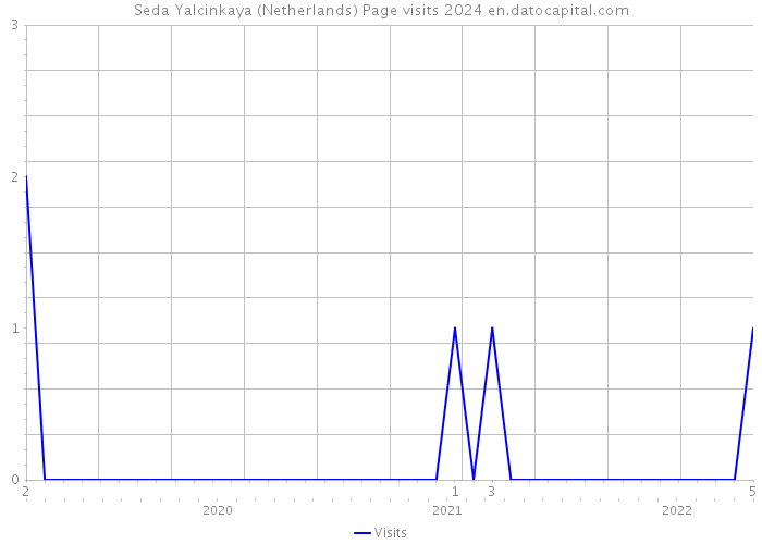 Seda Yalcinkaya (Netherlands) Page visits 2024 