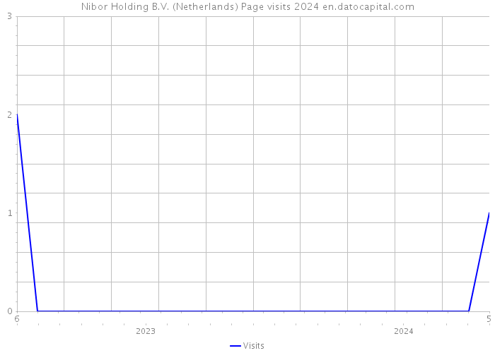 Nibor Holding B.V. (Netherlands) Page visits 2024 