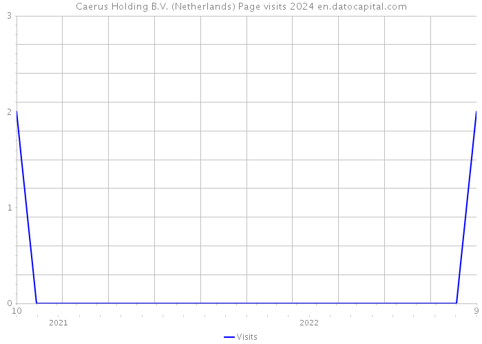 Caerus Holding B.V. (Netherlands) Page visits 2024 