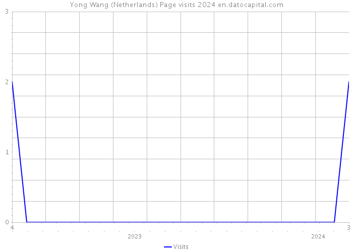 Yong Wang (Netherlands) Page visits 2024 
