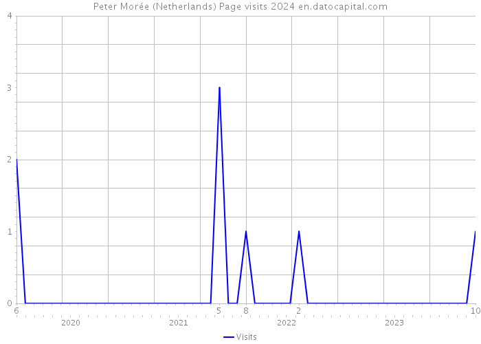 Peter Morée (Netherlands) Page visits 2024 