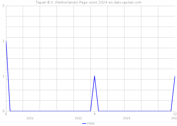 Tapan B.V. (Netherlands) Page visits 2024 