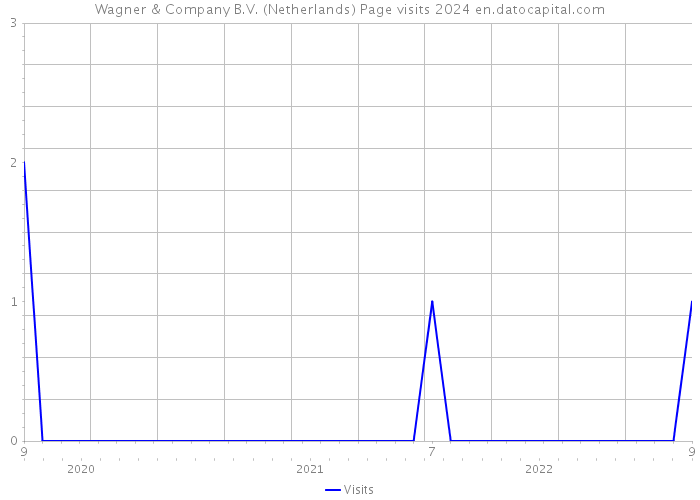 Wagner & Company B.V. (Netherlands) Page visits 2024 