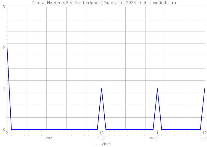 Cambo Holdings B.V. (Netherlands) Page visits 2024 