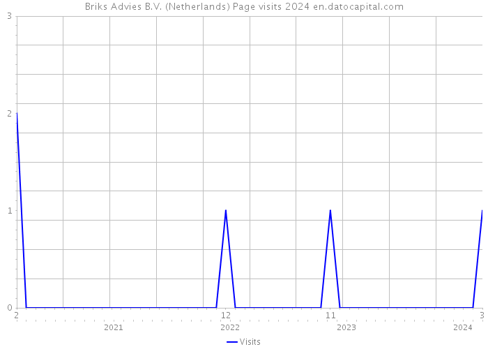 Briks Advies B.V. (Netherlands) Page visits 2024 