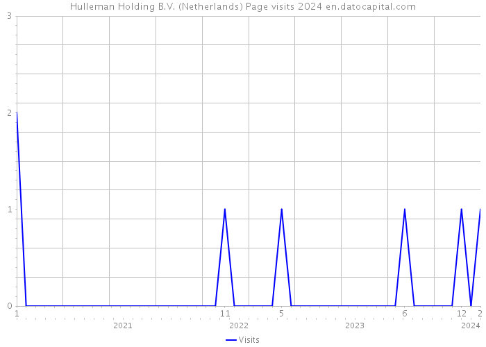 Hulleman Holding B.V. (Netherlands) Page visits 2024 