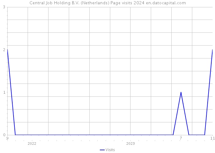 Central Job Holding B.V. (Netherlands) Page visits 2024 