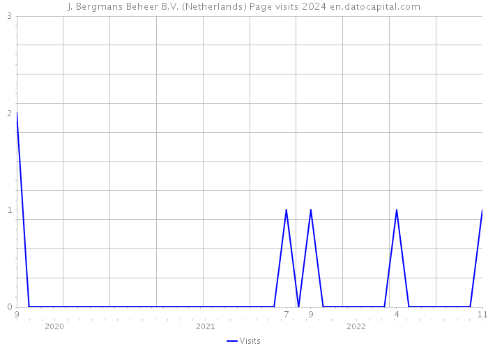 J. Bergmans Beheer B.V. (Netherlands) Page visits 2024 