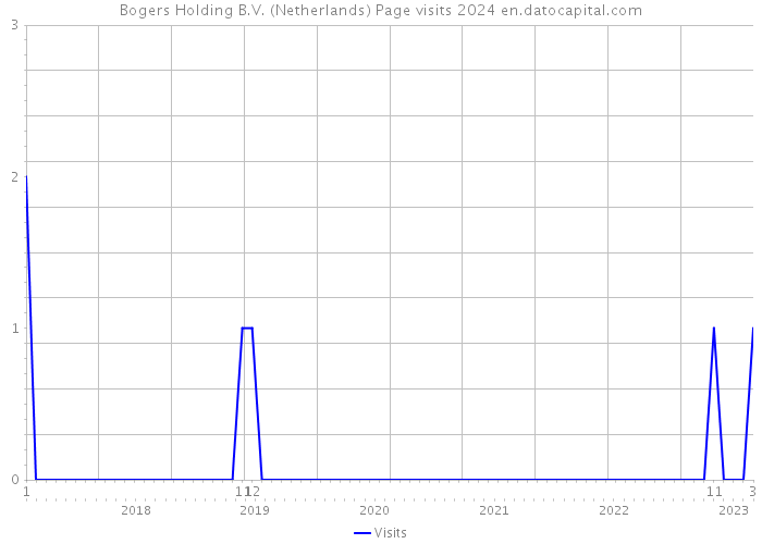 Bogers Holding B.V. (Netherlands) Page visits 2024 