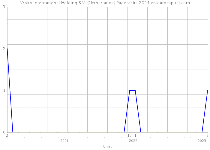 Vroko International Holding B.V. (Netherlands) Page visits 2024 