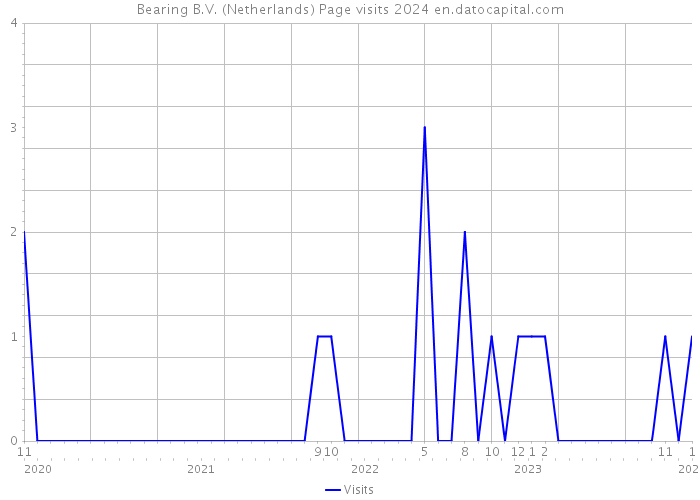 Bearing B.V. (Netherlands) Page visits 2024 