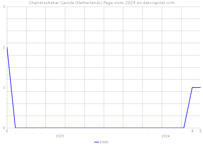 Chandreshekar Gainda (Netherlands) Page visits 2024 