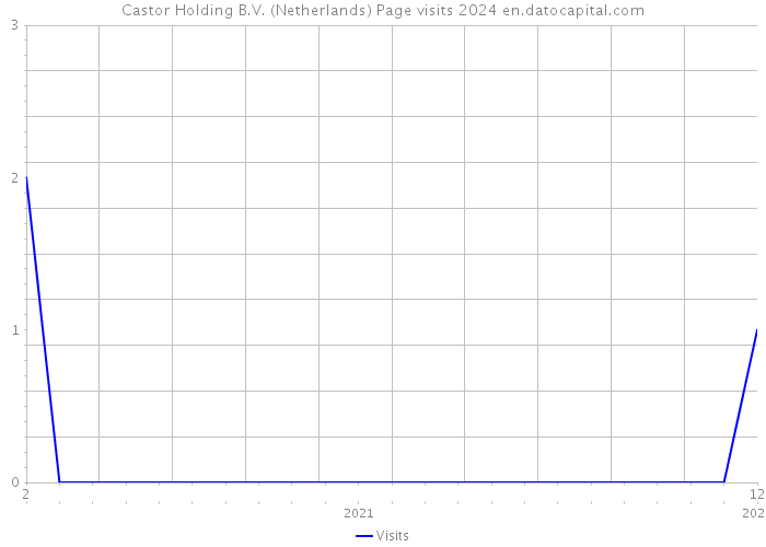 Castor Holding B.V. (Netherlands) Page visits 2024 
