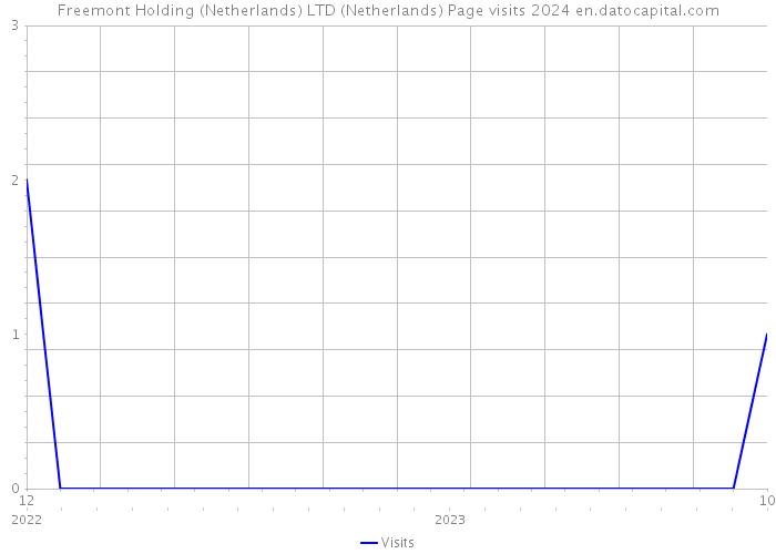 Freemont Holding (Netherlands) LTD (Netherlands) Page visits 2024 